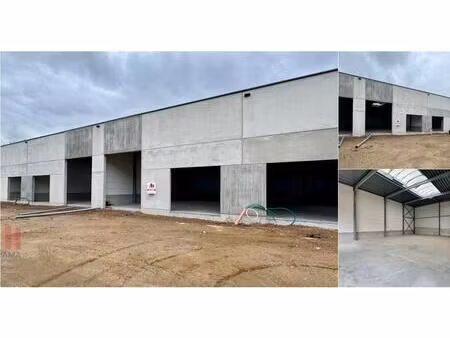 surface industrielle à louer à schaapschuur 6 affligem (rbv27649)