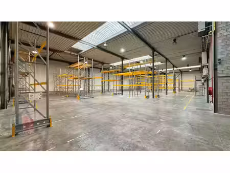 surface industrielle à louer à z.5 mollem 291 asse (rbv27652)