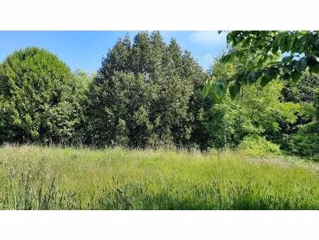 terrain constructible viabilisé à vendre