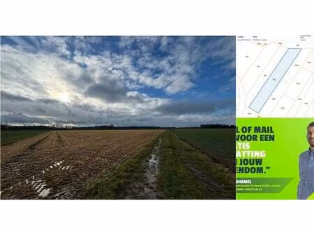 terrain agricole à vendre à beverlaak werchter (rbv27260)