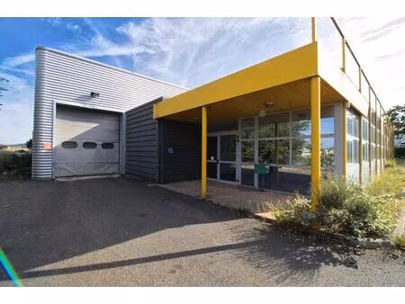montredon labessonnie - à louer  local d'activité / entrepôt 1 200 m²