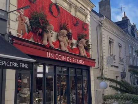 vente locaux professionnels 130 m² à amboise (37400)  290 000 €