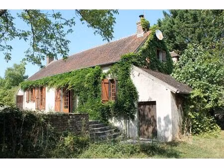 cérilly - maison spacieuse avec piscine chauffée sur 2699m2 de terrain.