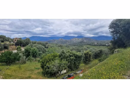 vente maison 6 pièces 167 m² à canari (20217)  597 000 €