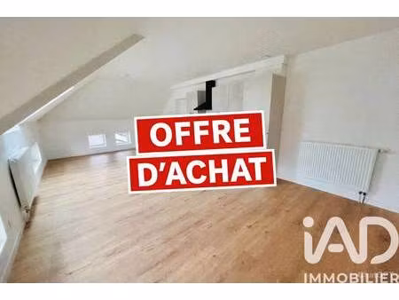 iad france michael kammer