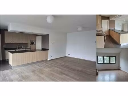 appartement à louer à hendrick consciencelaan waarschoot (rwc41847)