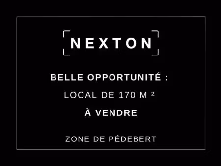 nexton immobilier