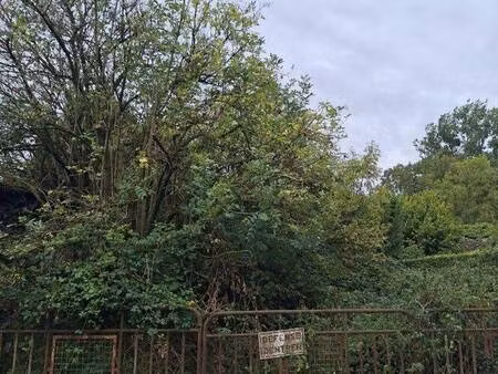 safti busin alexis conseiller indépendant