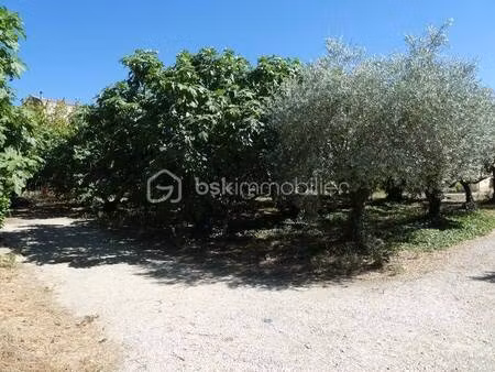 terrain constructible viabilisé à vendre