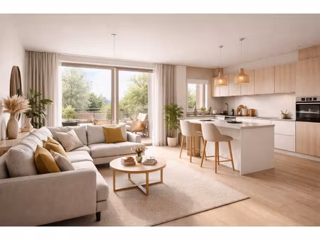 vente appartement 3 pièces 30 m² schiltigheim (67300)