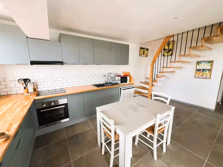 appartement duplex t.5 112m2 la riviere saint-louis