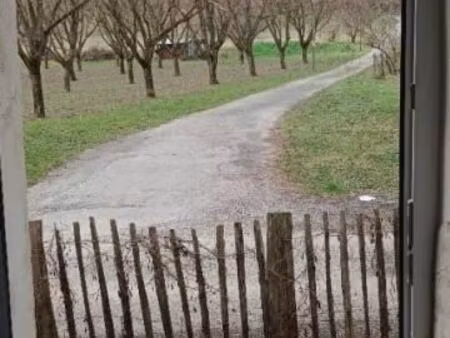 appartement 1 pièce 33 m²