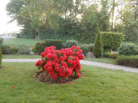 a louer charmante petite maison