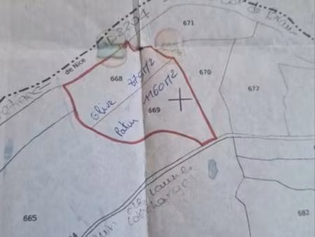 terrain oliviers et paturage touet de l escarene