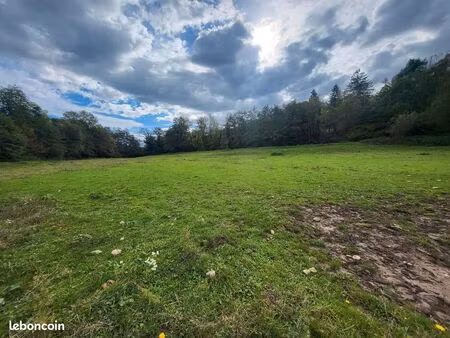 pré 1 ha à louer pour chevaux