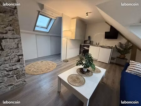 ? usage pro: studio 27m2 hyper centre à pont l'évêque ?