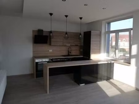 appartement lumineux rénové deux chambres