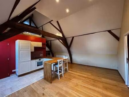 charmant appartement 1 chambre à 2 pas de la place st job