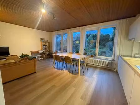 citrinelles - appartement rénové et moderne 2ch