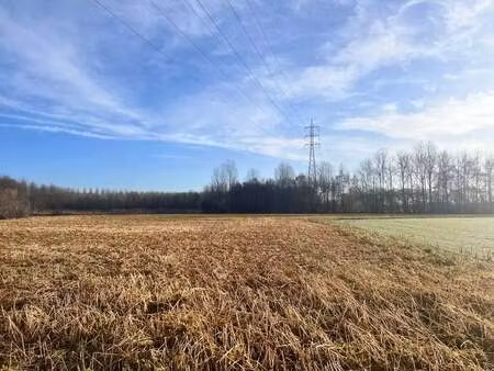 terrain à vendre à wijgmaal € 58.000 (lkyjp) - aef immo | zimmo