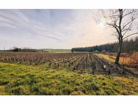 terrain pouillon m² t- à vendre  245 000 €