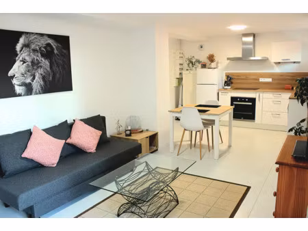 vente appartement 1 pièce 46 m² illkirch-graffenstaden (67400)