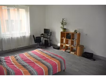 vente immeuble avec rapport à locatif de 25% - immeuble situé à saint-girons et comprenant