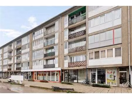 commerce - rez-de-chausée