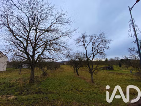 vente terrain 970 m² à einvaux (54360)  40 700 €
