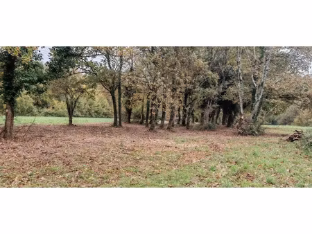 vente terrain 2487 m² à la chapelle-des-pots (17100)  52 000 €