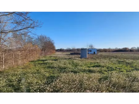 vente terrain 8750 m² à le cailar (30740)  49 900 €