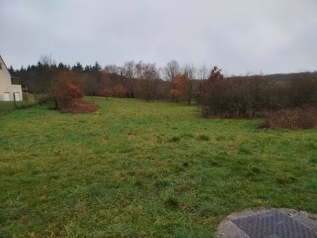 vente terrain 2997 m² à dame-marie-les-bois (37110)  72 345 €