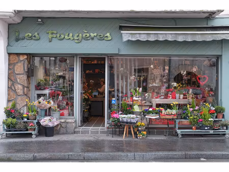 à vendre fonds de commerce fleuriste belle opportunité