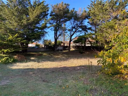 terrain à bâtir 768m2  emplacement rare.