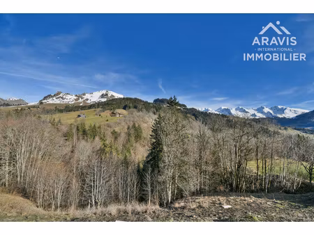grand terrain constructible face aux aravis avec pc