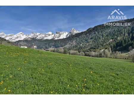 terrain à bâtir avec beau potentiel