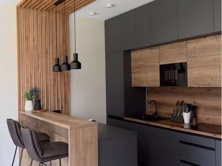 appartement 3 pièces 55 m2