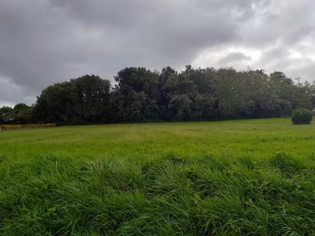 vente terrain 980 m² à sadirac (33670)  140 000 €