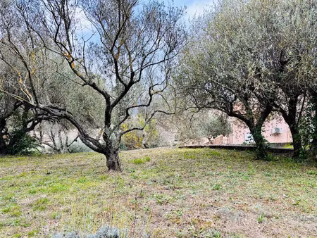 vente terrain 715 m² à pignans (83790)  159 000 €