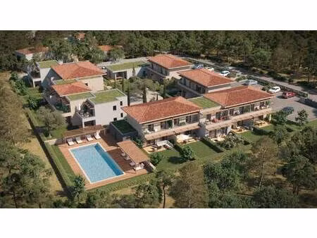 sud corse immobilier