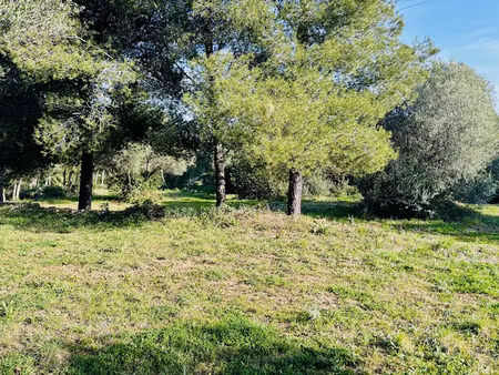 vente terrain 540 m² à ollioules (83190)  245 000 €