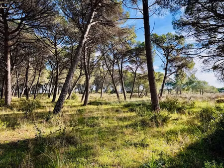 vente terrain 2150 m² à saint-maximin-la-sainte-baume (83470)  210 000 €