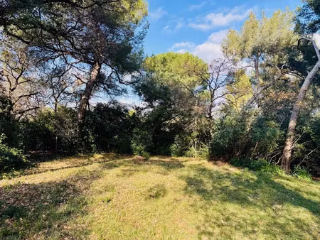 vente terrain 769 m² à ollioules (83190)  285 000 €