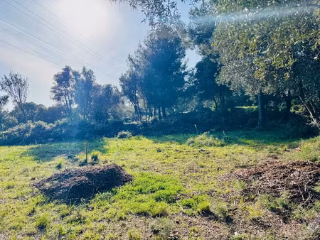 vente terrain 790 m² à ollioules (83190)  285 000 €