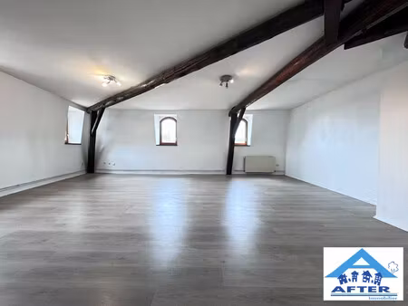 vaste appartement dans immeuble de caractere