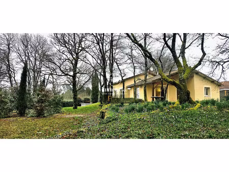 maison à vendre verneuil-sur-vienne