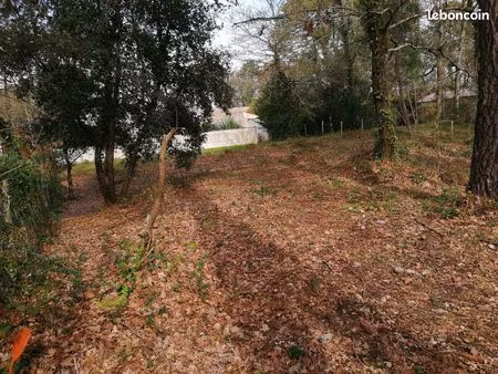 proprietaire vend terrain