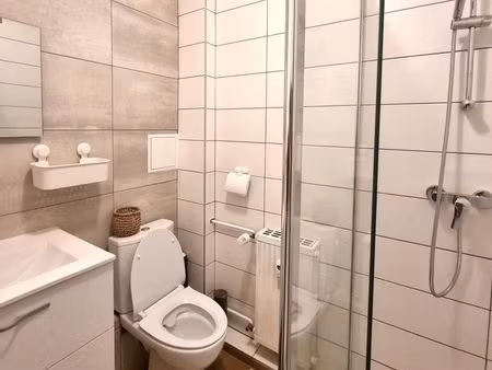 appartement meuble 33m2- cuisine separee-parking-cave