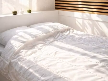 studio meublé entièrement rénové