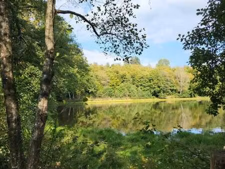 etang a vendre